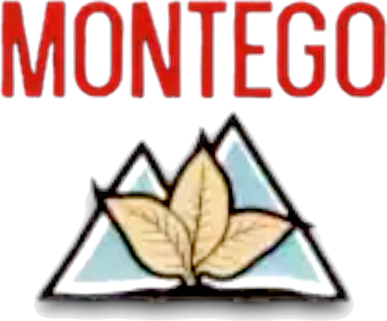 Montego brand logo